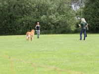 Bendix und das Boxband (23)